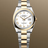 Rolex Datejust 36 mm 126203 White Roman Oyster Gold & Steel