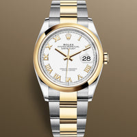 Rolex Datejust 126203 NEW White Roman Oyster Yellow Gold & Steel 36 mm